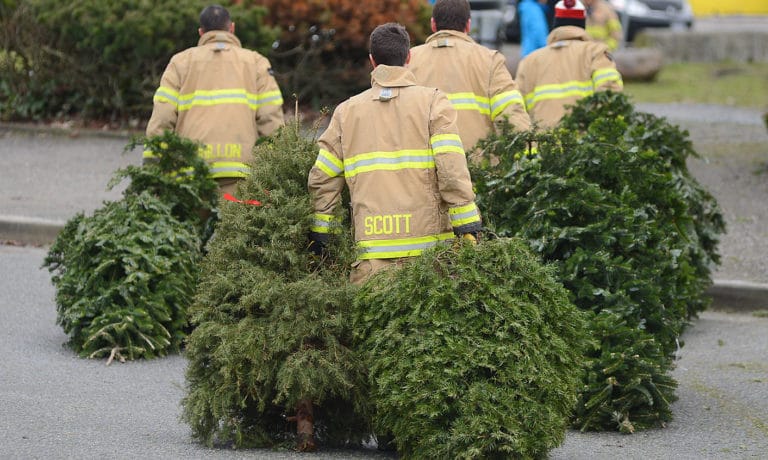 Richmond Firefighter Annual Tree Chip